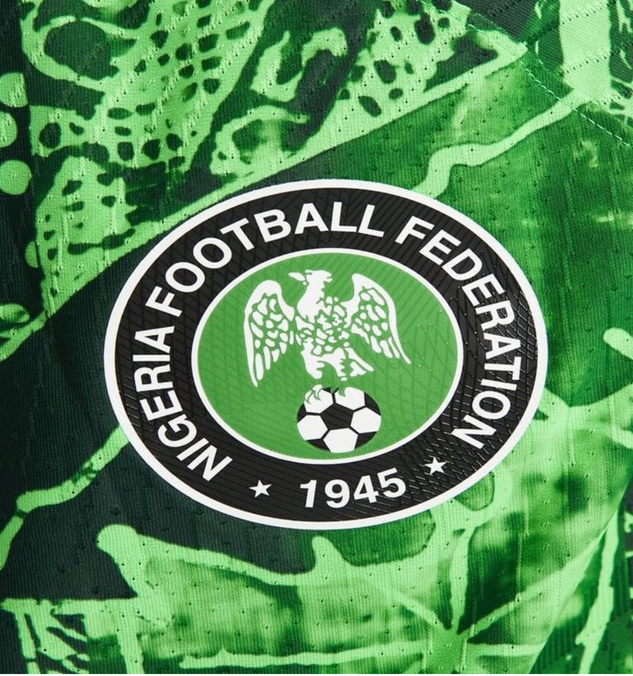 The badge of Nigeria 2022/2023 Home Soccer Jersey