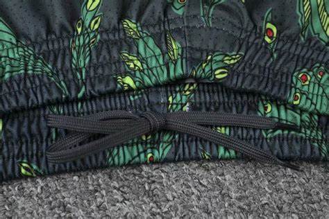 Close up View of Nigeria 2020/2021 Track Suit