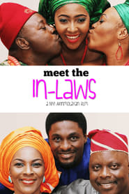 Meet the In-Laws (DVD)